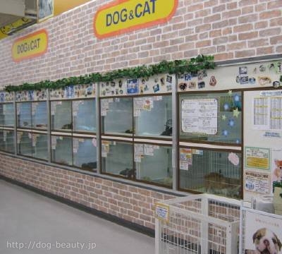 ペットプラザ福山神辺店 ペットプラザ フクヤマカンナベテン ペットサロン ペット美容室検索ドッグビューティー