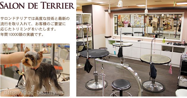 JOKER DOG&CAT AVENUE@qʐ