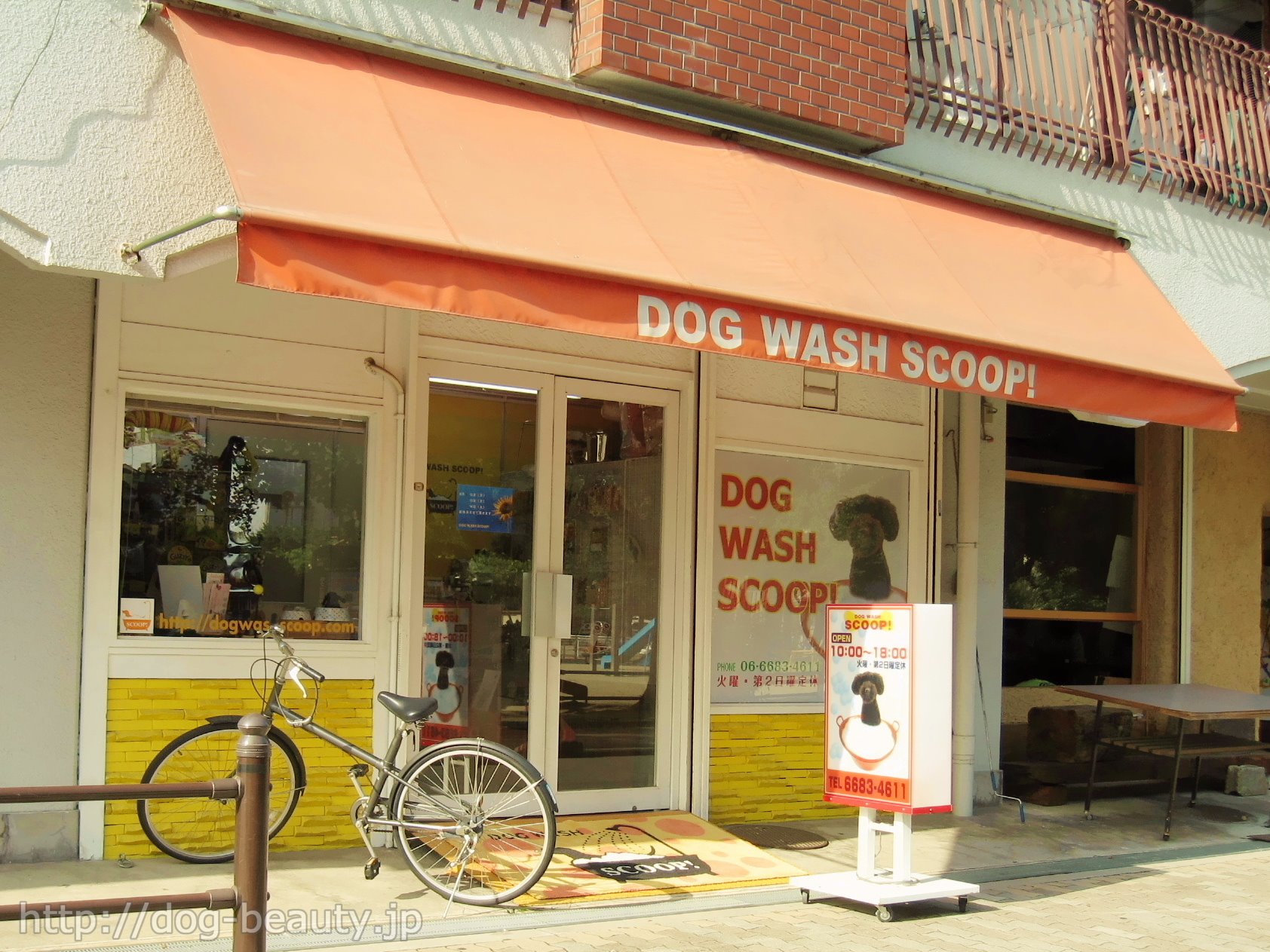 DOG WASH@SCOOP!