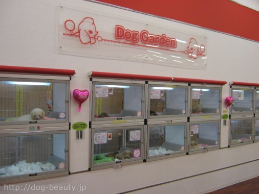 Doggarden綾川店 ドッグガーデンアヤカワテン ペットサロン ペット美容室検索ドッグビューティー