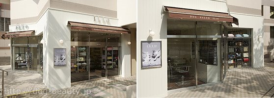 ILIO `k}X