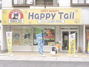 Happytail ハッピーテイル ペットサロン ペット美容室検索ドッグビューティー