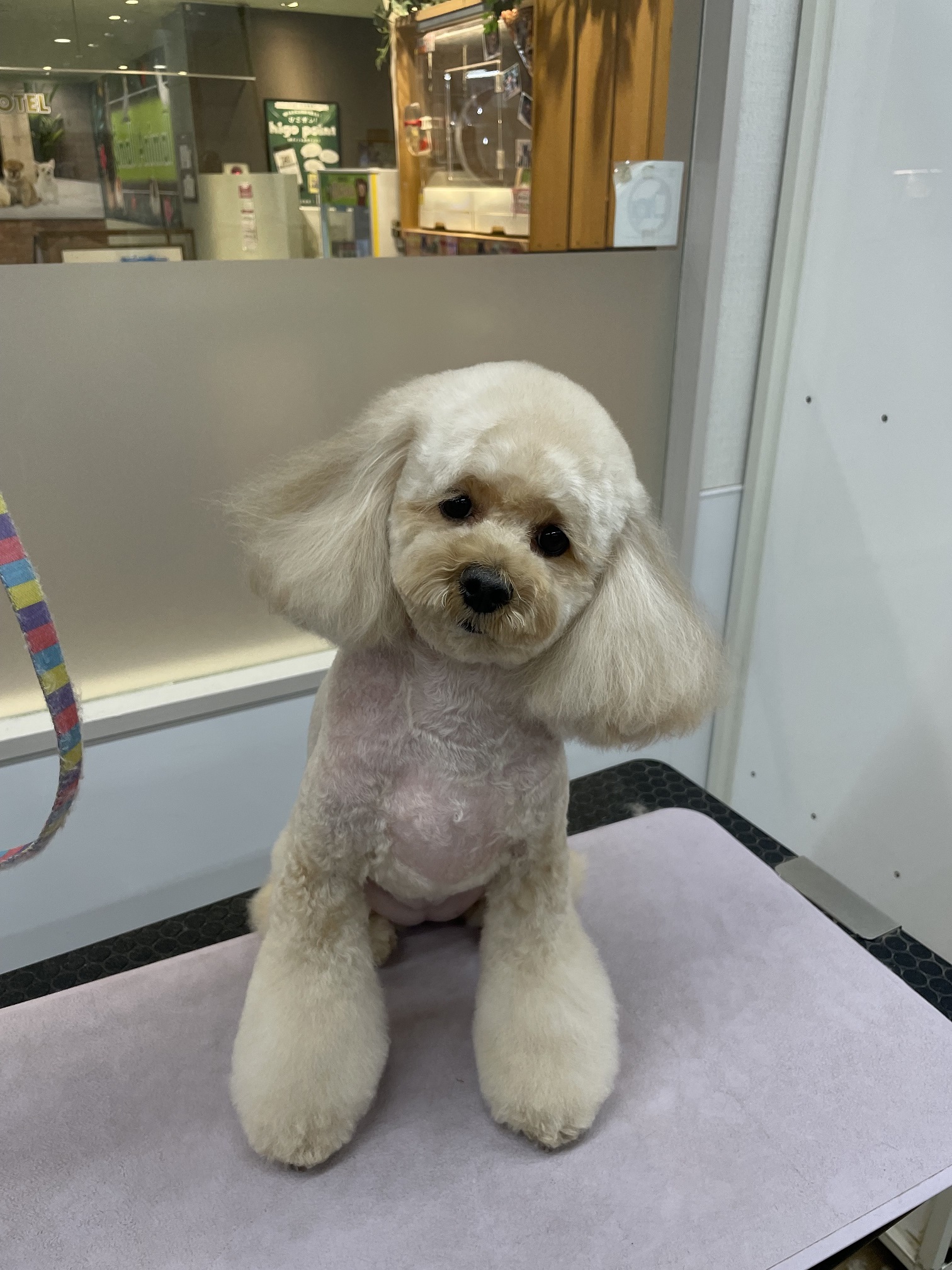 ���������J�b�g