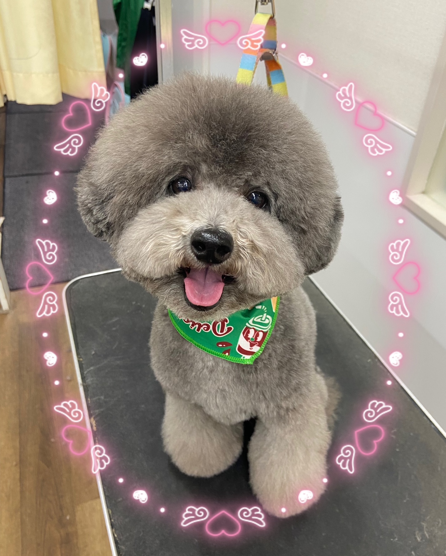 �A�t���J�b�g