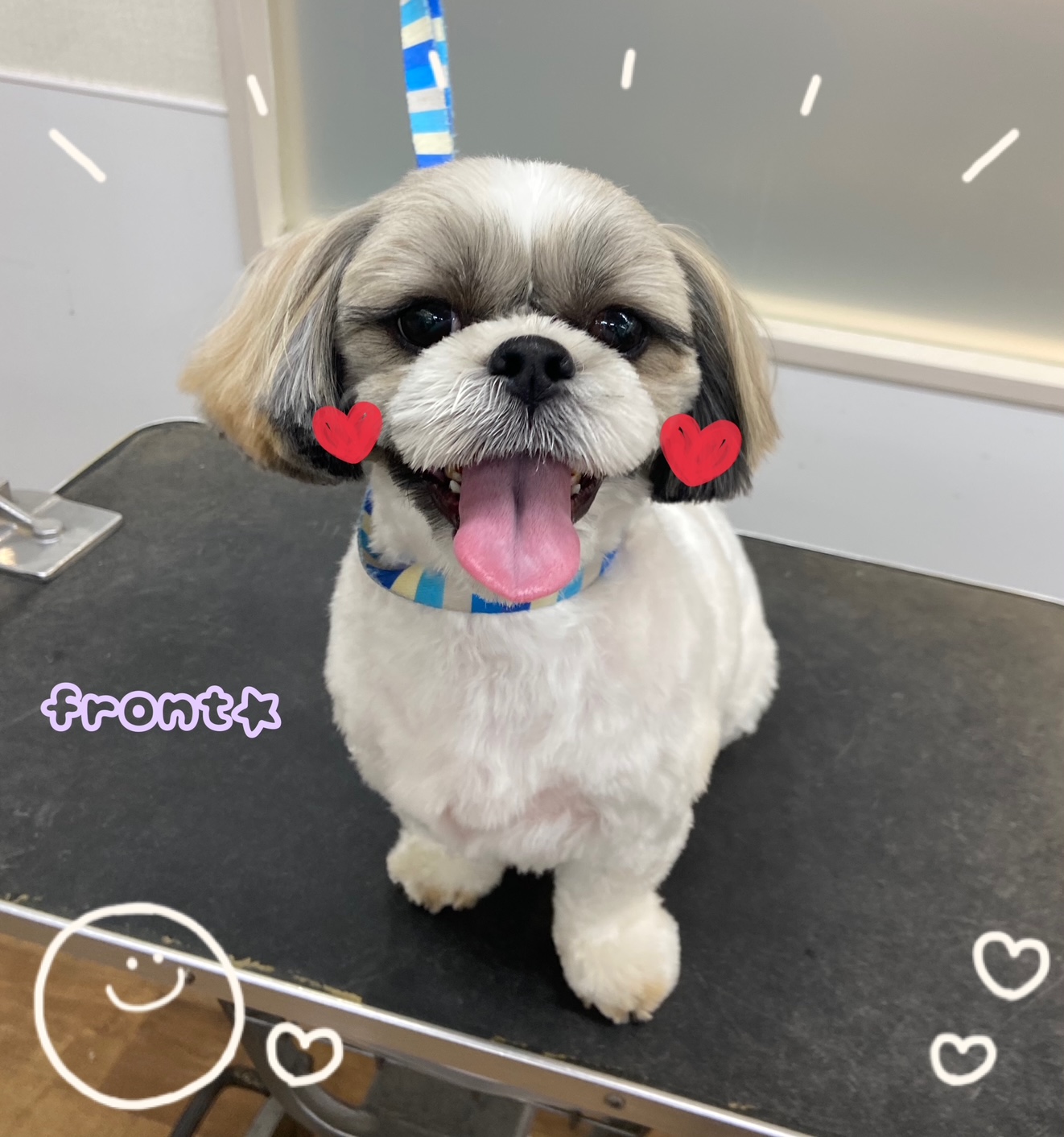 ��������V�[�Y�[�����J�b�g��