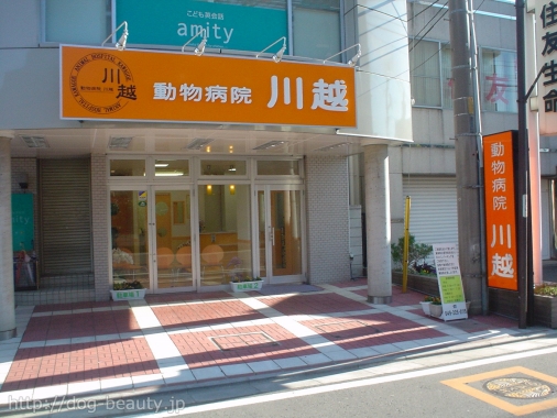 動物病院 川越 ペットサロン彩風 ドウブツビョウイン カワゴエ ペットサロンアヤカゼ ペットサロン ペット美容室検索ドッグビューティー 動物病院 川越 ペットサロン彩風 ドウブツビョウイン カワゴエ ペットサロンアヤカゼ ペットサロン ペット美容室検索ドッグビューティー