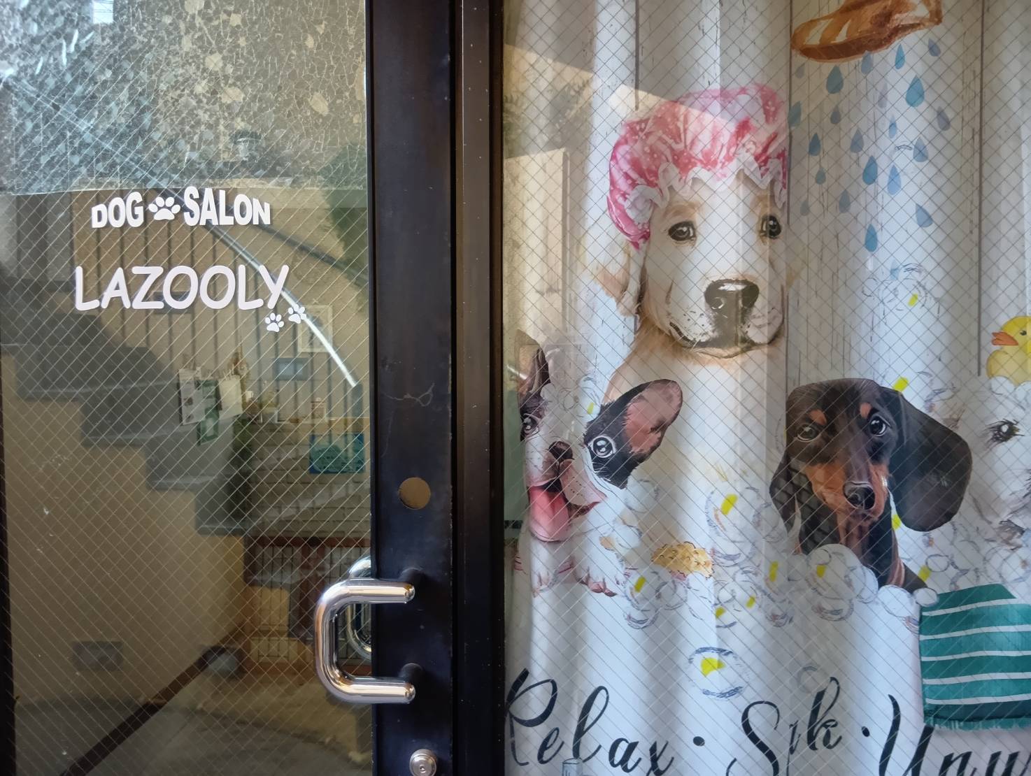 �h�b�O�T�����@LAZOOLY