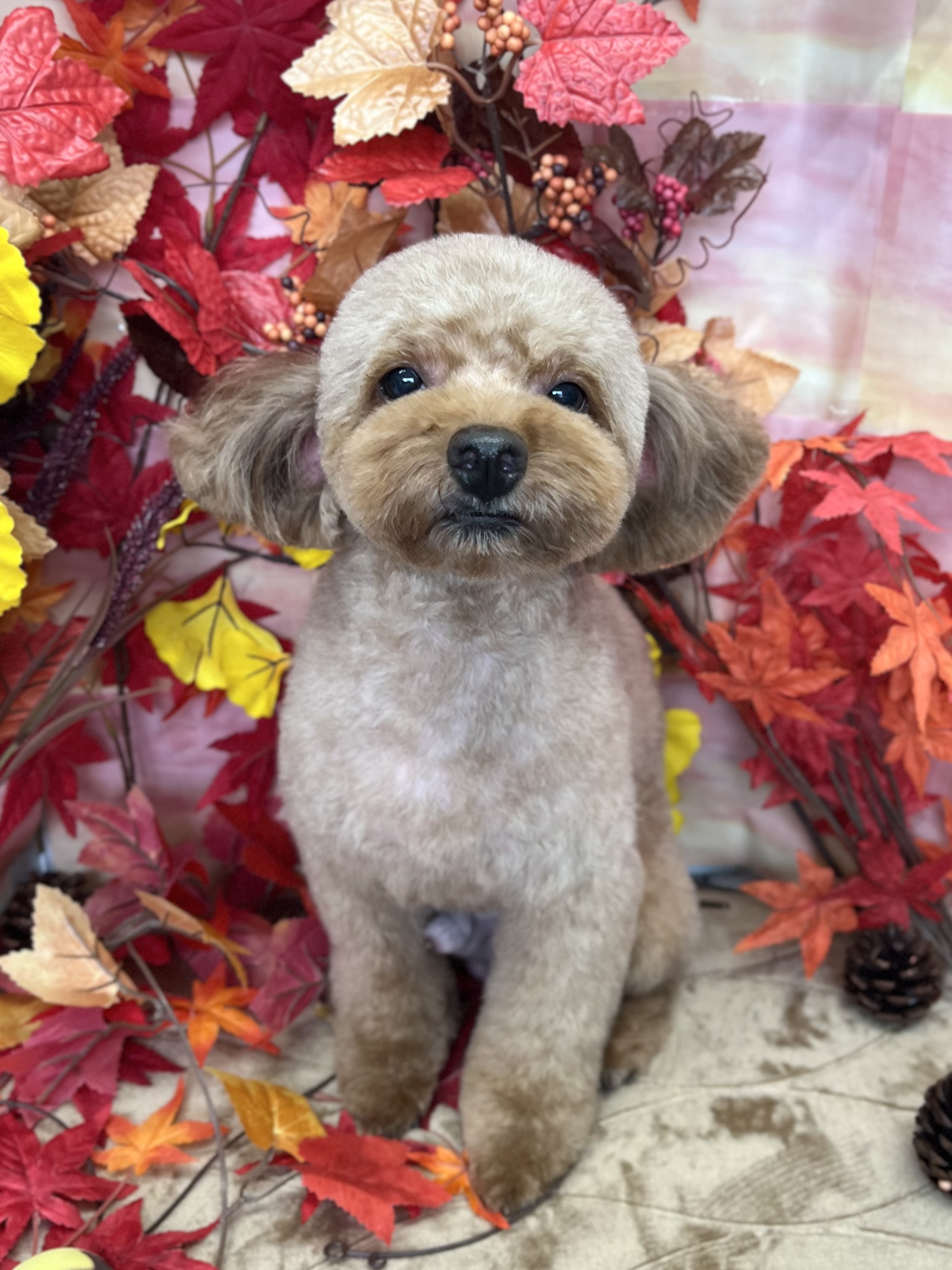 �܂�܂�e�f�B