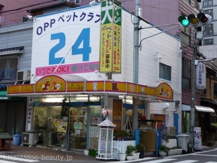 Oppペットクラブ２４ オオサカペットプロモーションクラブ ペットサロン ペット美容室検索ドッグビューティー