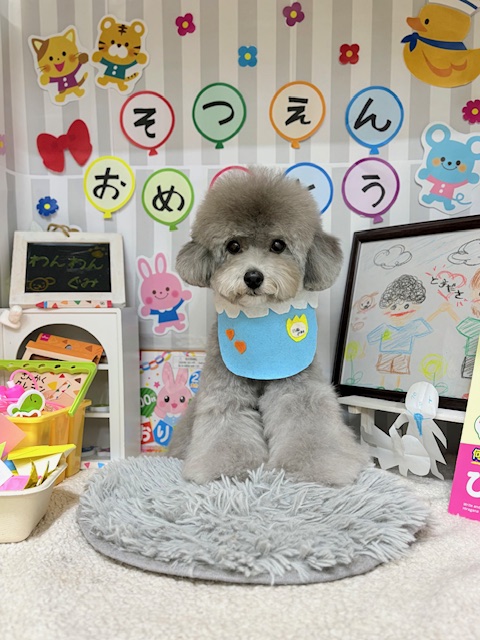 �؍��e�f�B