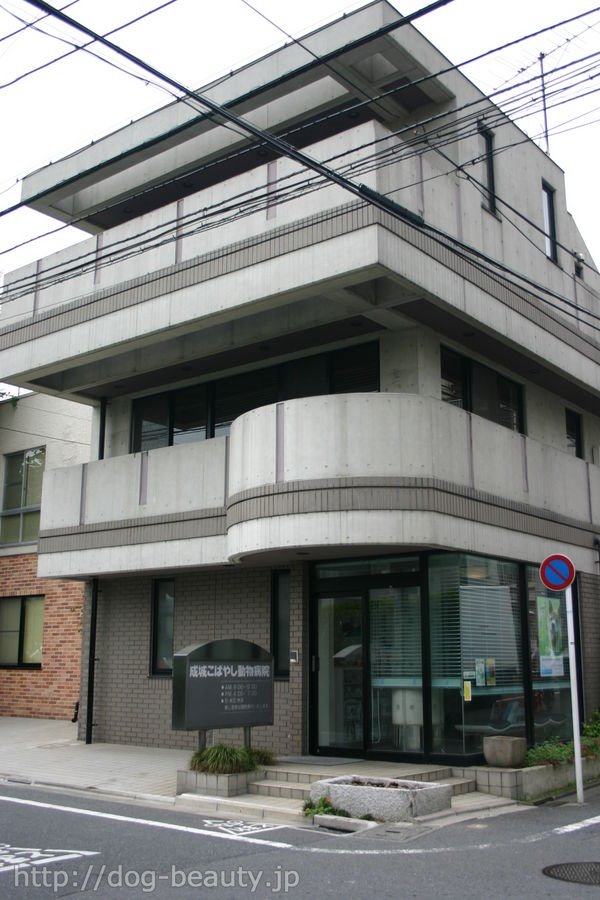 ���邱�΂₵�����a�@