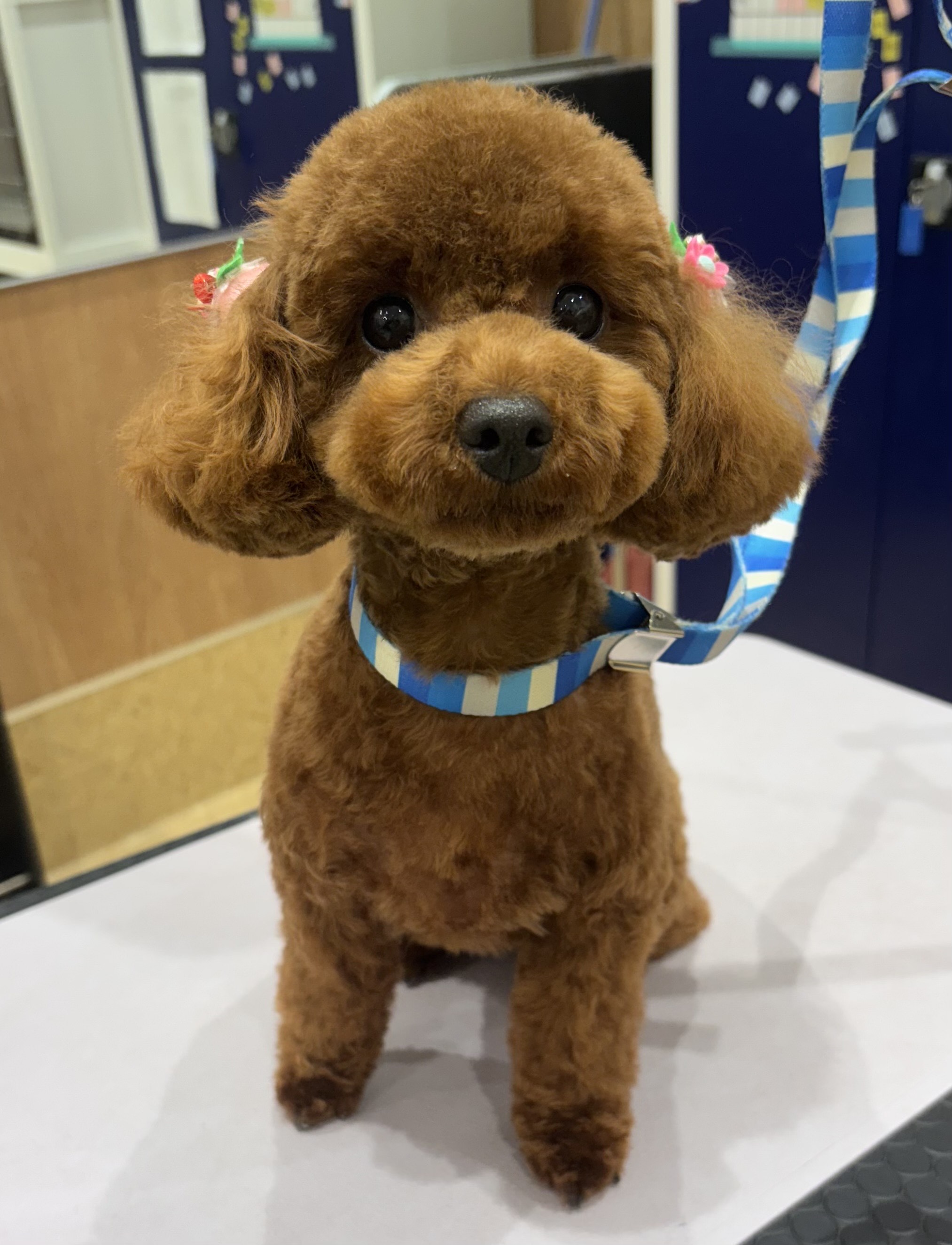 �X�b�L���e�f�B