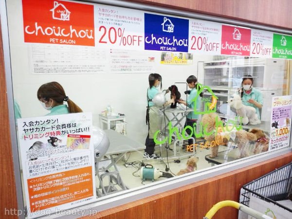Chouchou青梅新町店 シュシュオウメシンマチテン メニュー ペットサロン ペット美容室検索ドッグビューティー