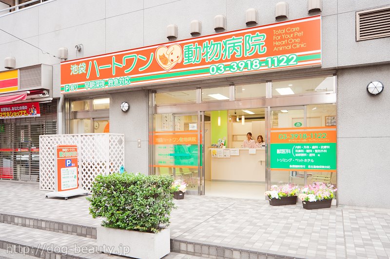 �r�܃n�[�g���������a�@