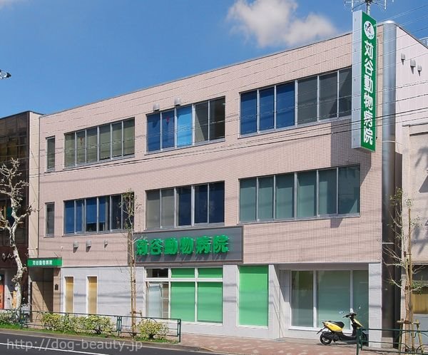 ���J�����a�@ �O�c�ڒʂ�a�@