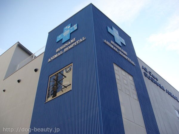 ����������ÃZ���^�[