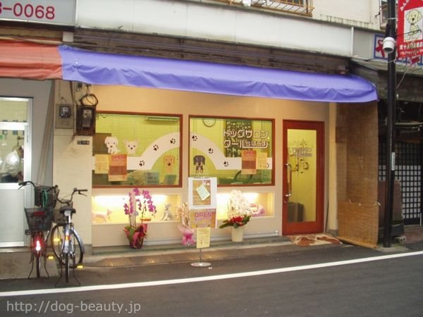 �h�b�O�T�����@�N�[���fS�͂���